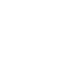 icon2
